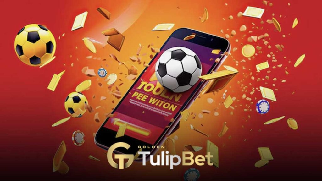 Tulipbet Belçika Ligi bahisleri