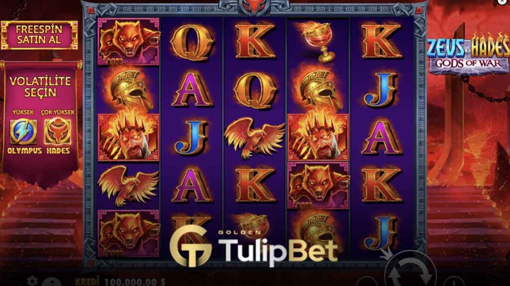 Tulipbet Drop & Wins Live Casino