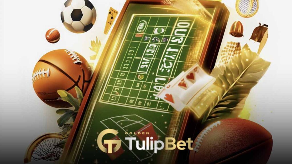 Tulipbet en yüksek oranlar