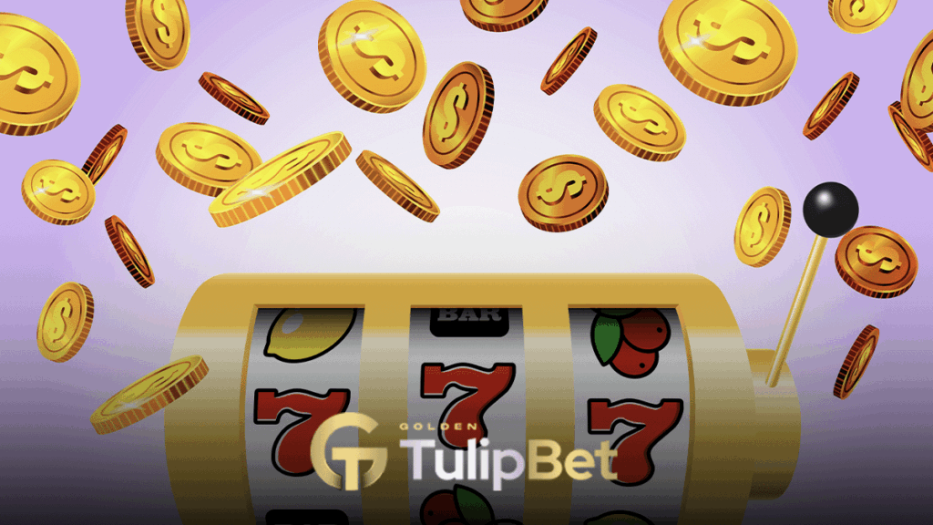 Tulipbet Bahis Bozdur
