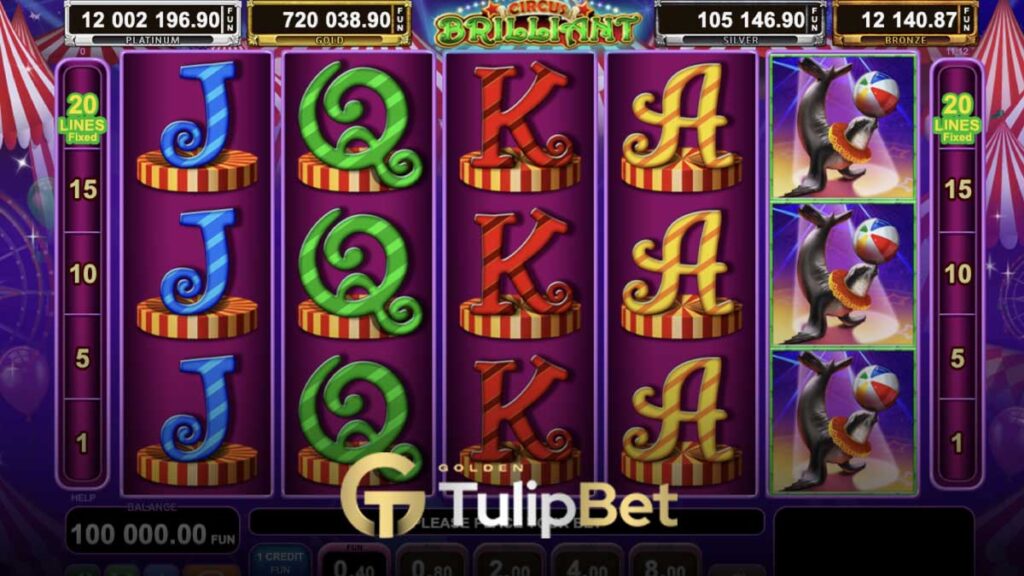 Tulipbet amusnet sağlayıcısı