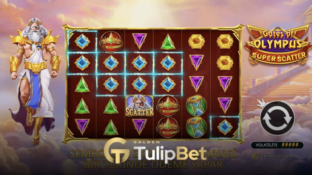 Tulipbet spın royale turnuvası