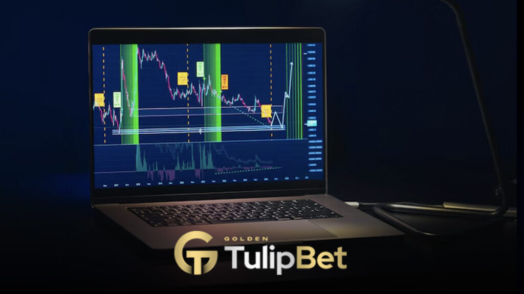 Tulipbet kaldıraçlı borsa